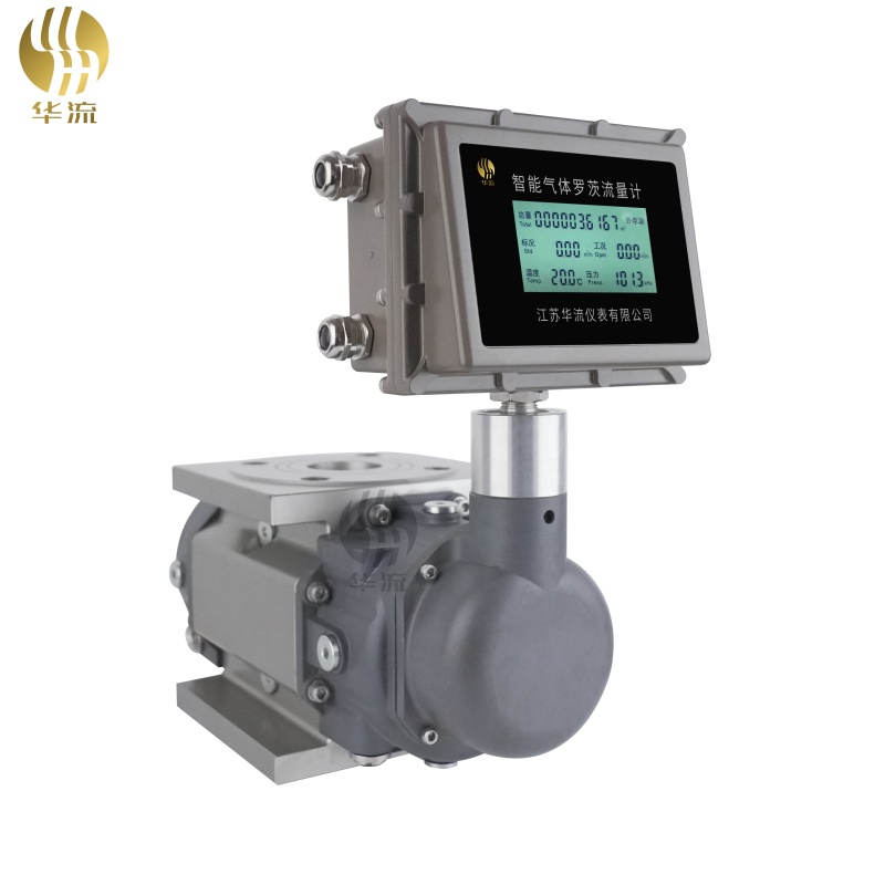 羅茨流量（liàng）計特點與優（yōu）點（diǎn）